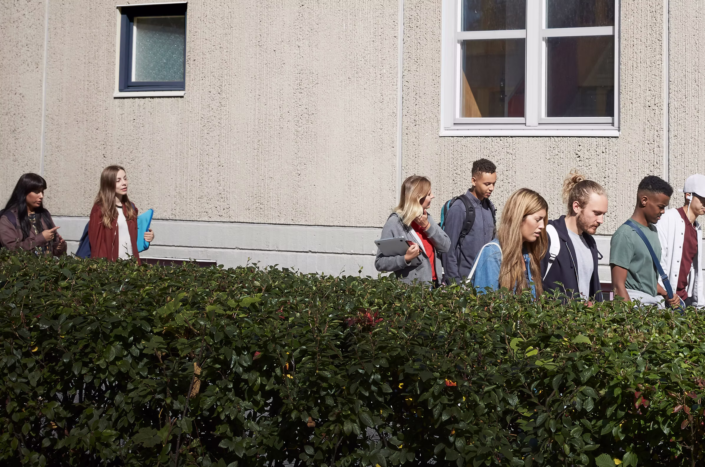 2e2a49_c117547fc43b4de2b13c344f5e7b382e~mv2